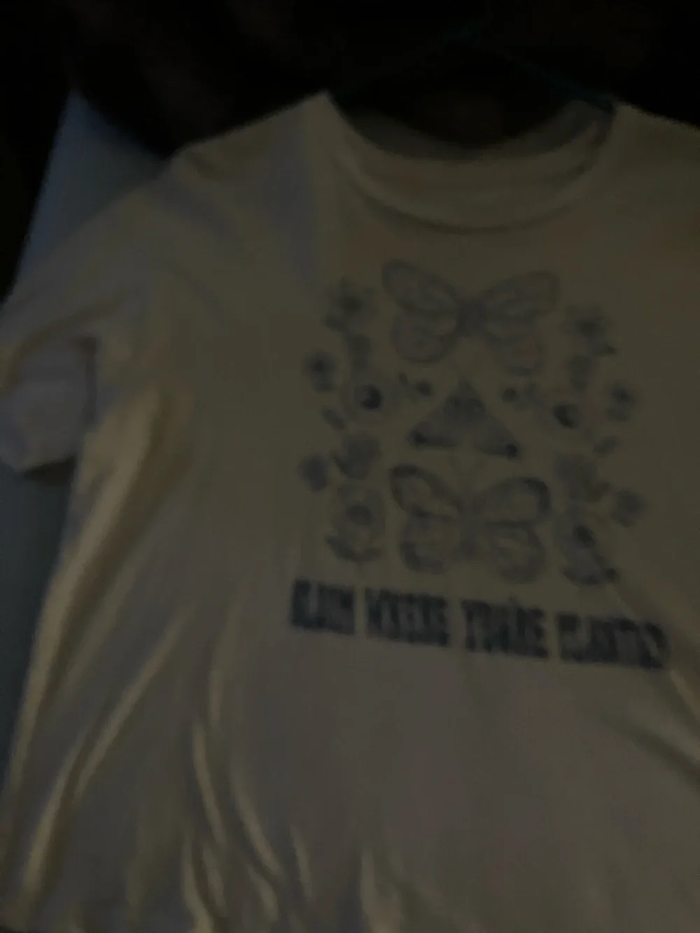 American eagle - Picture 4 of 5